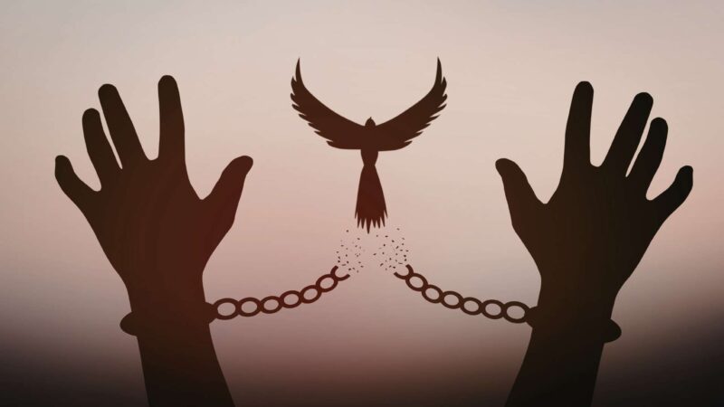 Extricated means to be freed or released from entanglement